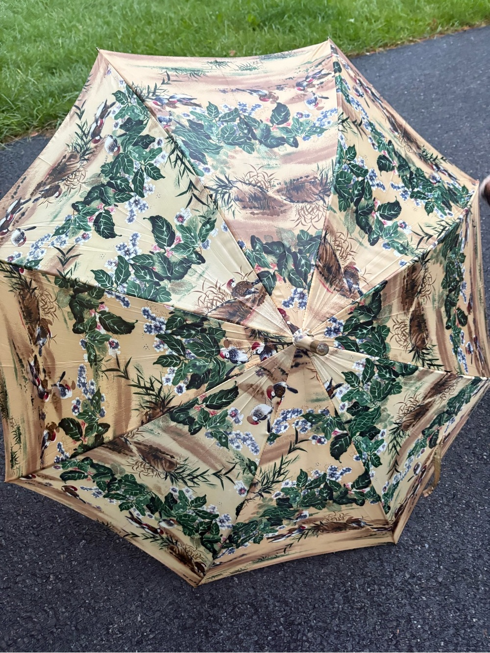 Gorgeous MASSIVE Umbrella Tan Birds Foliage automatic Hook Handle